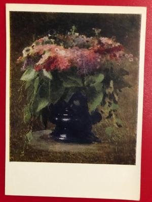 Крамской Флоксы