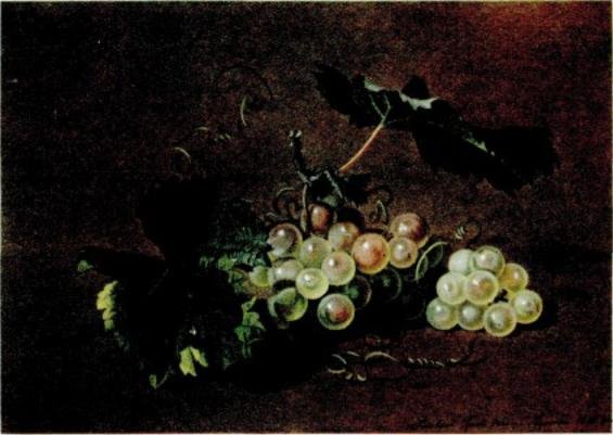 Федор Петрович толстой (1783–1873). Ветка винограда