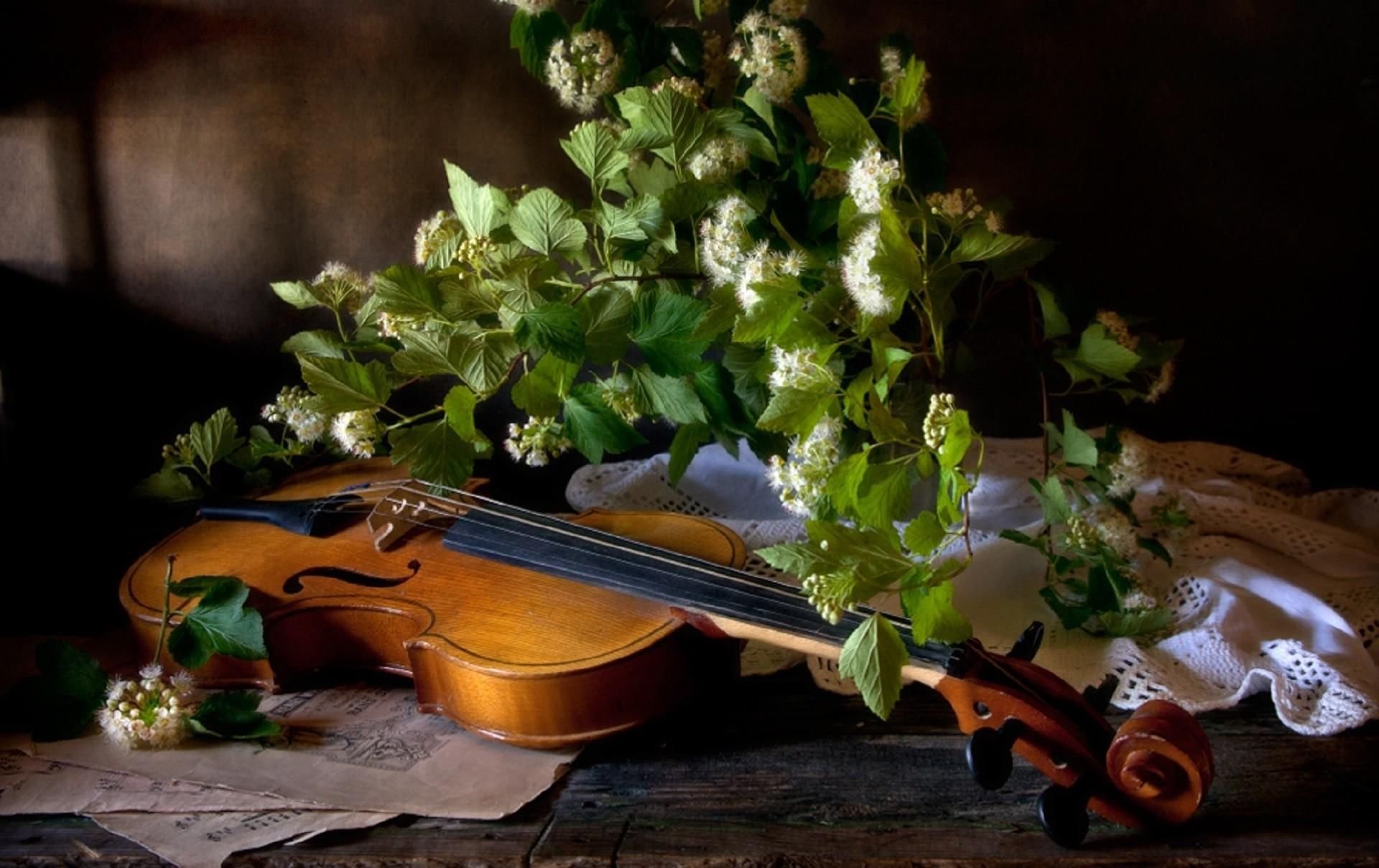 Инструментальная музыка скрипка. Натюрморт с музыкальными инструментами. Натюрморт со скрипкой и цветами. Натюрморт со скрипкой. Скрипка и цветы.