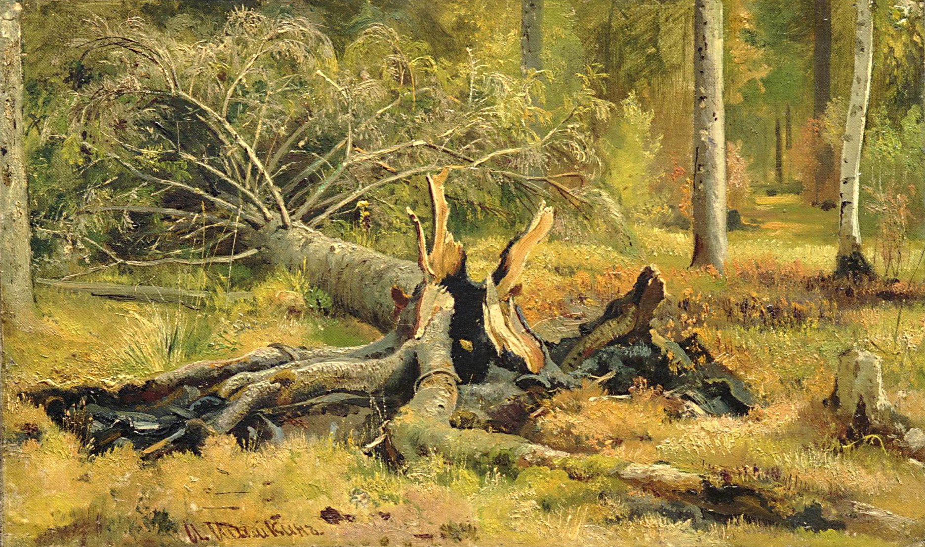Какие произведения живописи есть. Лесной пейзаж Шишкин 1832-1898. Шишкин Сиверская картина.