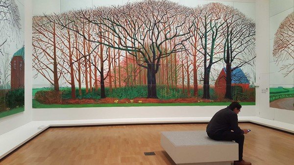 Дэвид Хокни поп арт