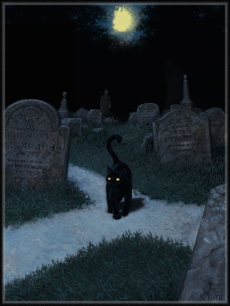 Черный кот на кладбище