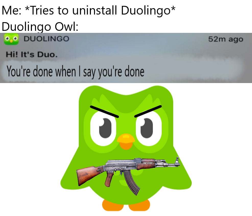Птица дуолинго. Duolingo мемы. Совенок Duolingo. Дуолинго прикол. Duolingo угрозы.