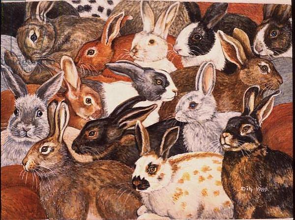 Кролик картины художников