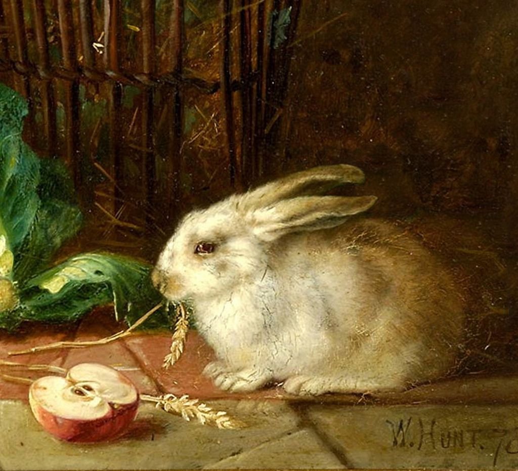 Кролик картины художников