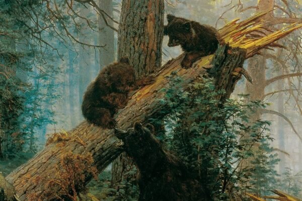 Утро в Сосновом Бору Шишкин