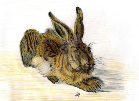 Альбрехт Дюрер заяц описание картины