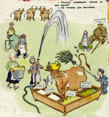 Нелепицы (с.д.Забрамная, о.в Боровик)