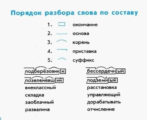 Порядок разбора Сова по сству