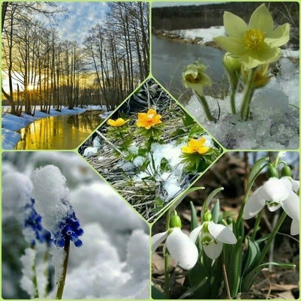 Картина одна весна (49 фото)