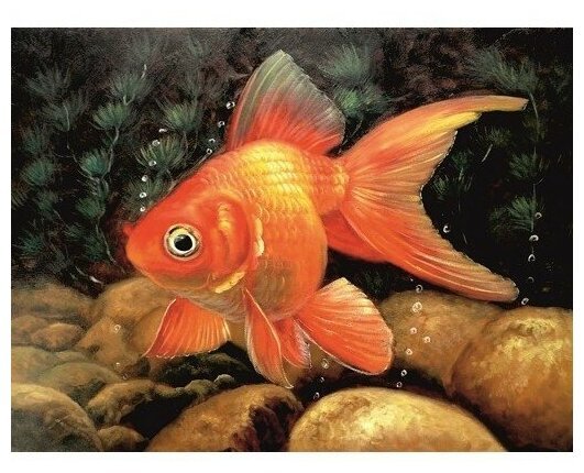 Рыбки по фен шуй картина