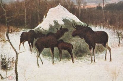 Сочинение по картине Степанов лоси