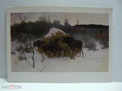 Алексей Степанов лоси