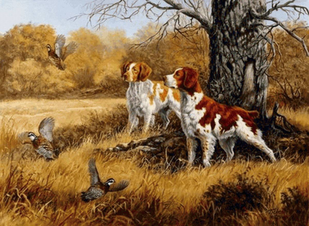 Охотничьи собаки в живописи
