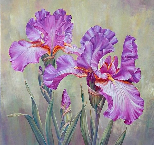 Ирисы художница Marianne Broome