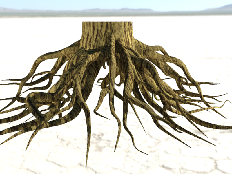 Корневая система ясеня. Корни картина. Ветвистое дерево с корнями. Корни 3д.