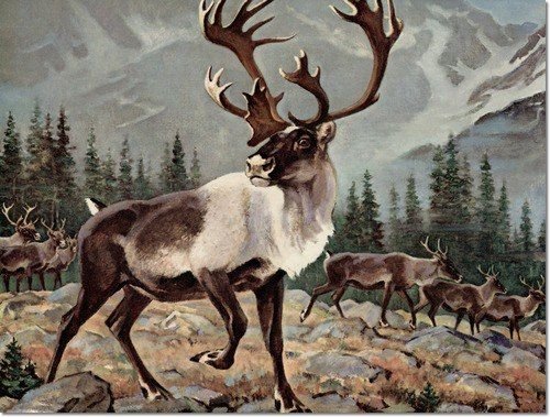 Северный олень живопись