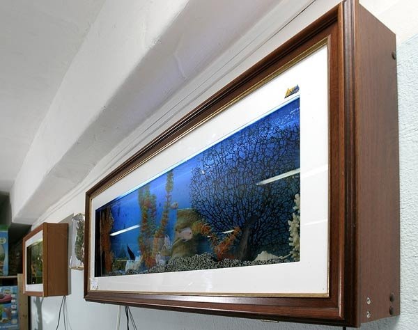Аквариум картина настенный