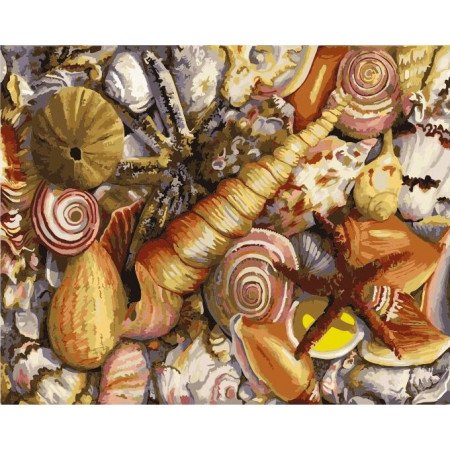 Картина Ракушка