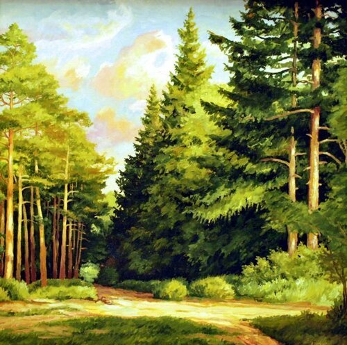 «Хвойный лес» «опушка леса» штшкин