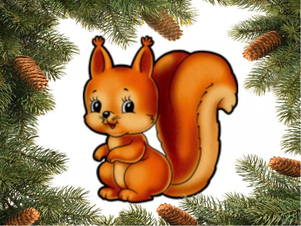 Белочка иллюстрация для детей