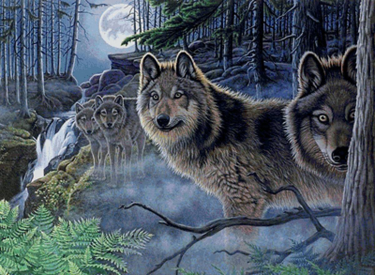 Вышивка волки в лесу