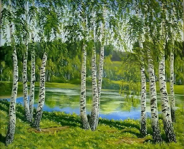 Картина березы для детей (50 фото)