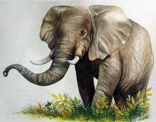 Карнавал животных слон