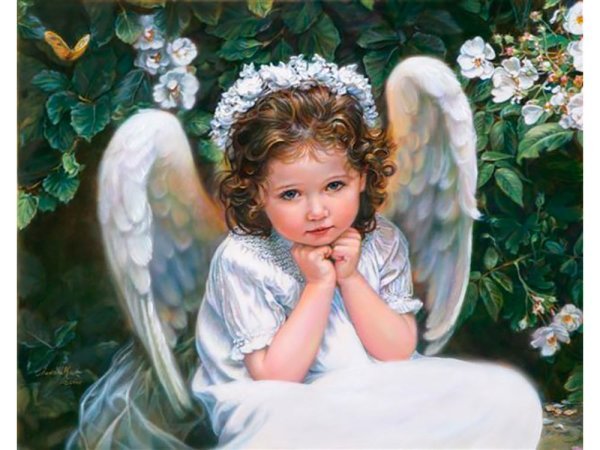 Ангельская природа