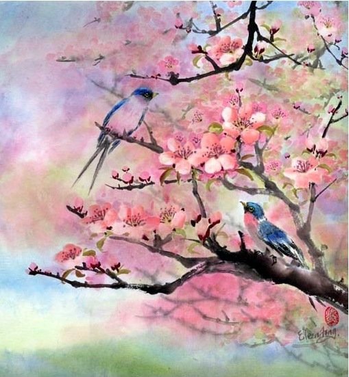 Птицы на Сакуре