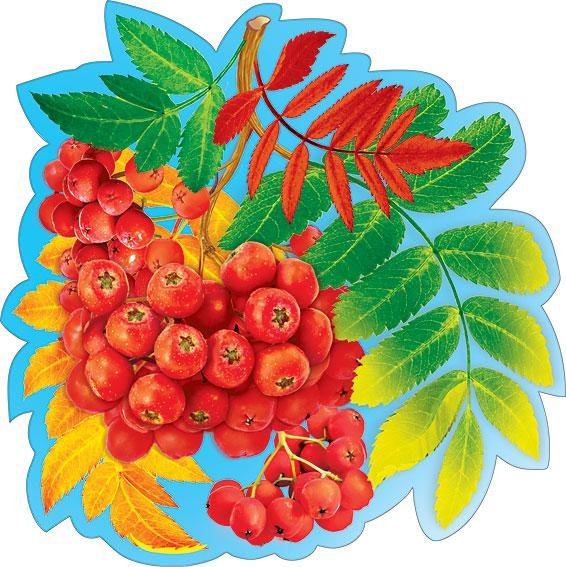 Рябина в детском саду