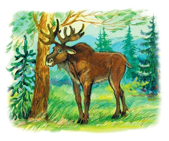 Лось для детей