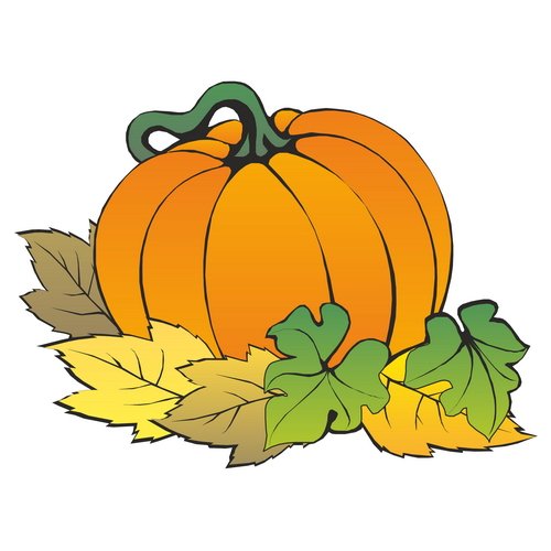 Осенние овощи