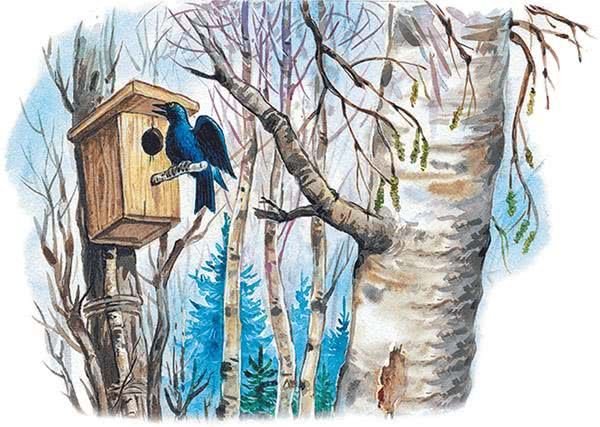 «Весна» — Ушинский Константин Дмитриевич