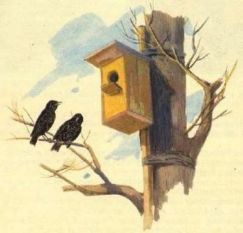 Василий Белов скворцы