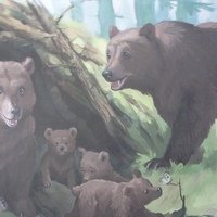 Пазлы Castorland 1000 Arctic Kingdom no c-102525