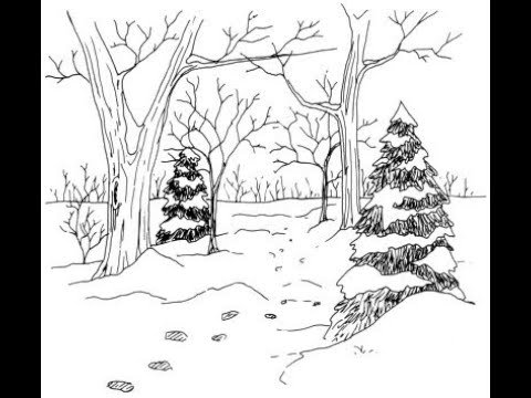Зимний лес карандашом