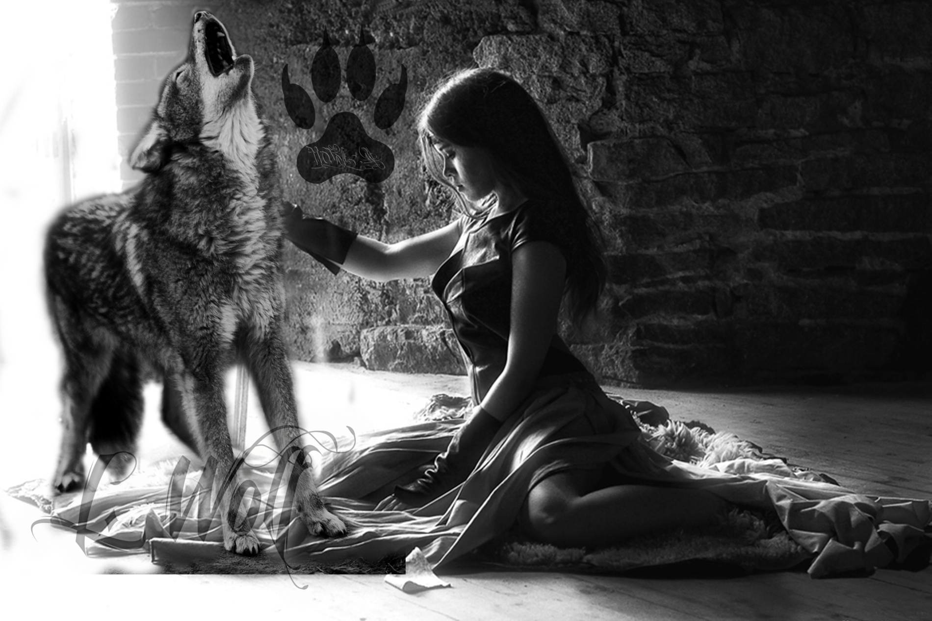 Женщина подобрала волка. Девушка с волком. Девочка и волк. Девушка и волк обои. Красивая девушка с волком.