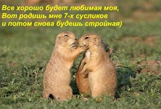 Девушка с сусликом картина (49 фото)