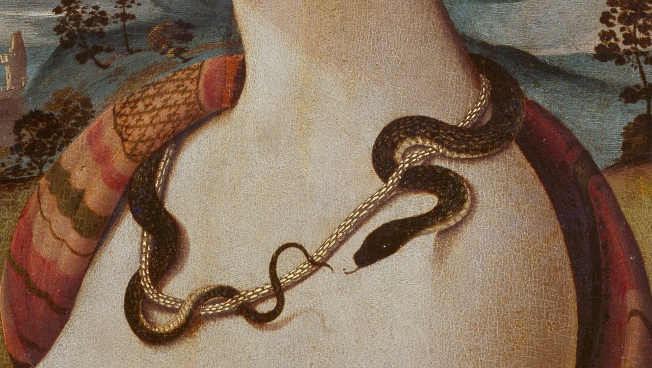 Змея картина. Змеи в живописи. Картины со змеями. Змеи на картинах известных художников. Змеи в жопах девушек