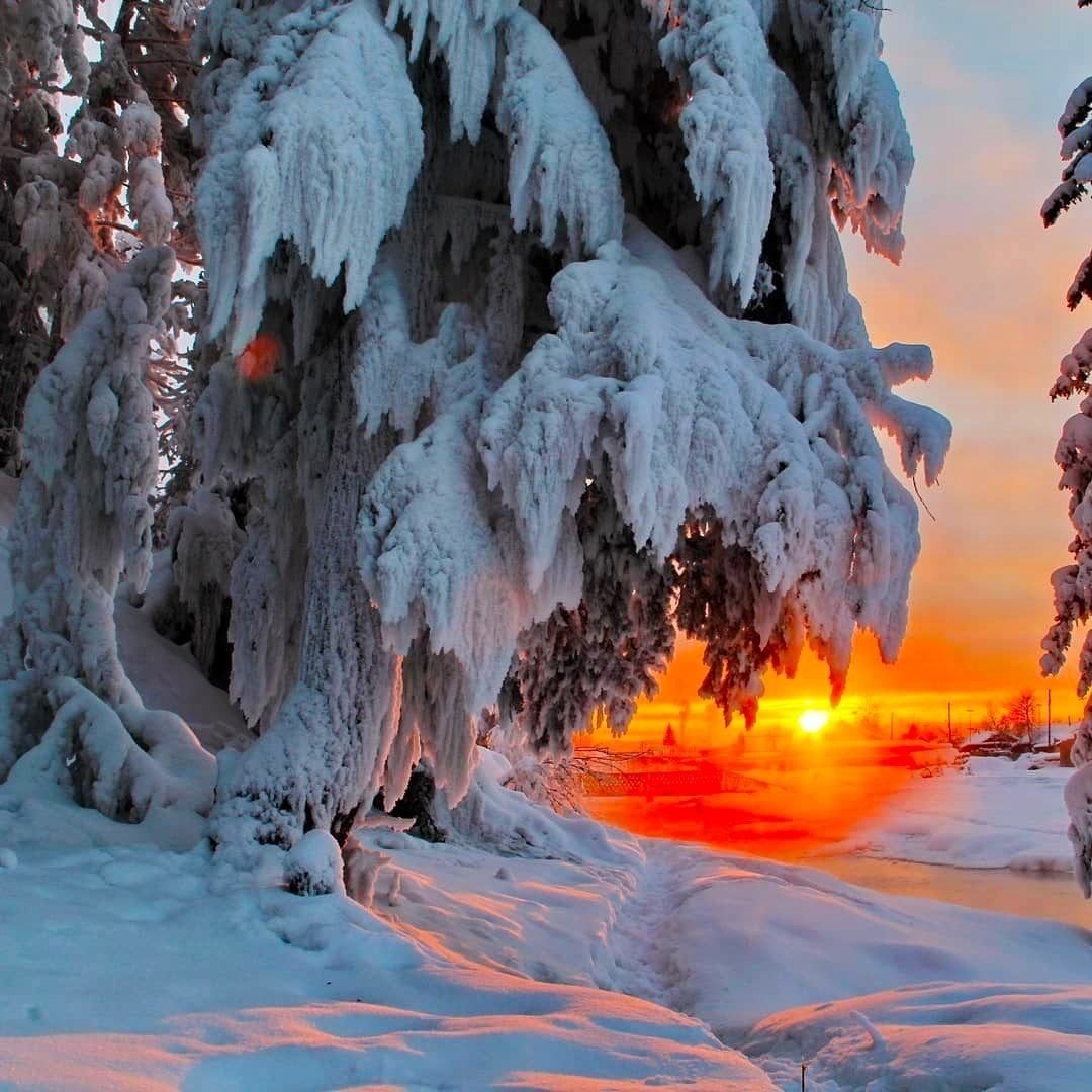 Природа зима красота. Зимняя природа. Зима пейзаж. Красота зимы. Чудеса зимней природы.