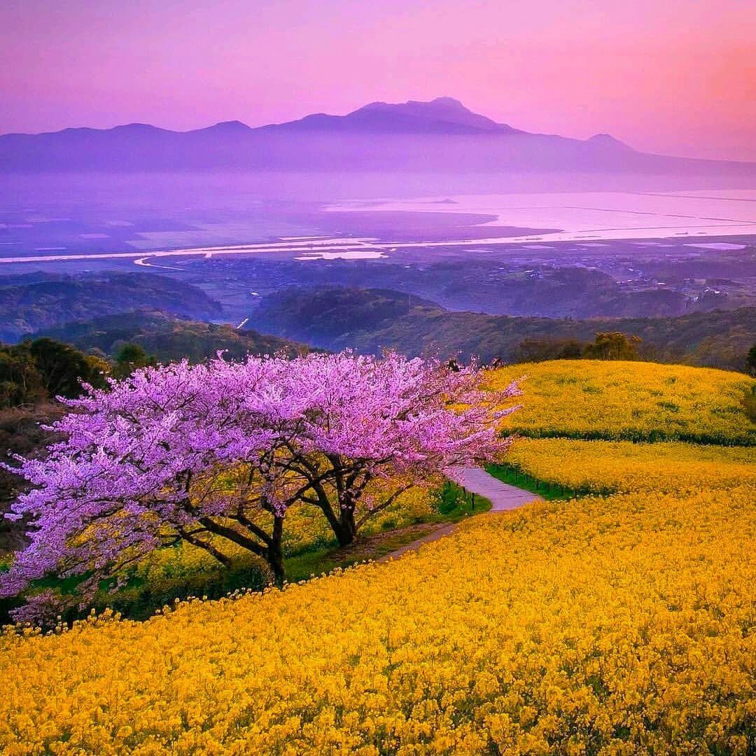Фото картинки красивые пейзажи Весна лето море горы