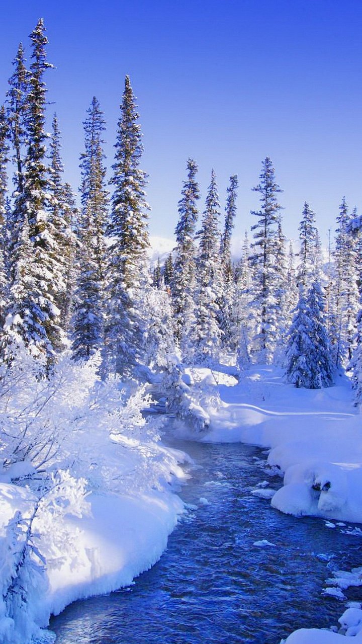 фото для телефона на экран красивые зима