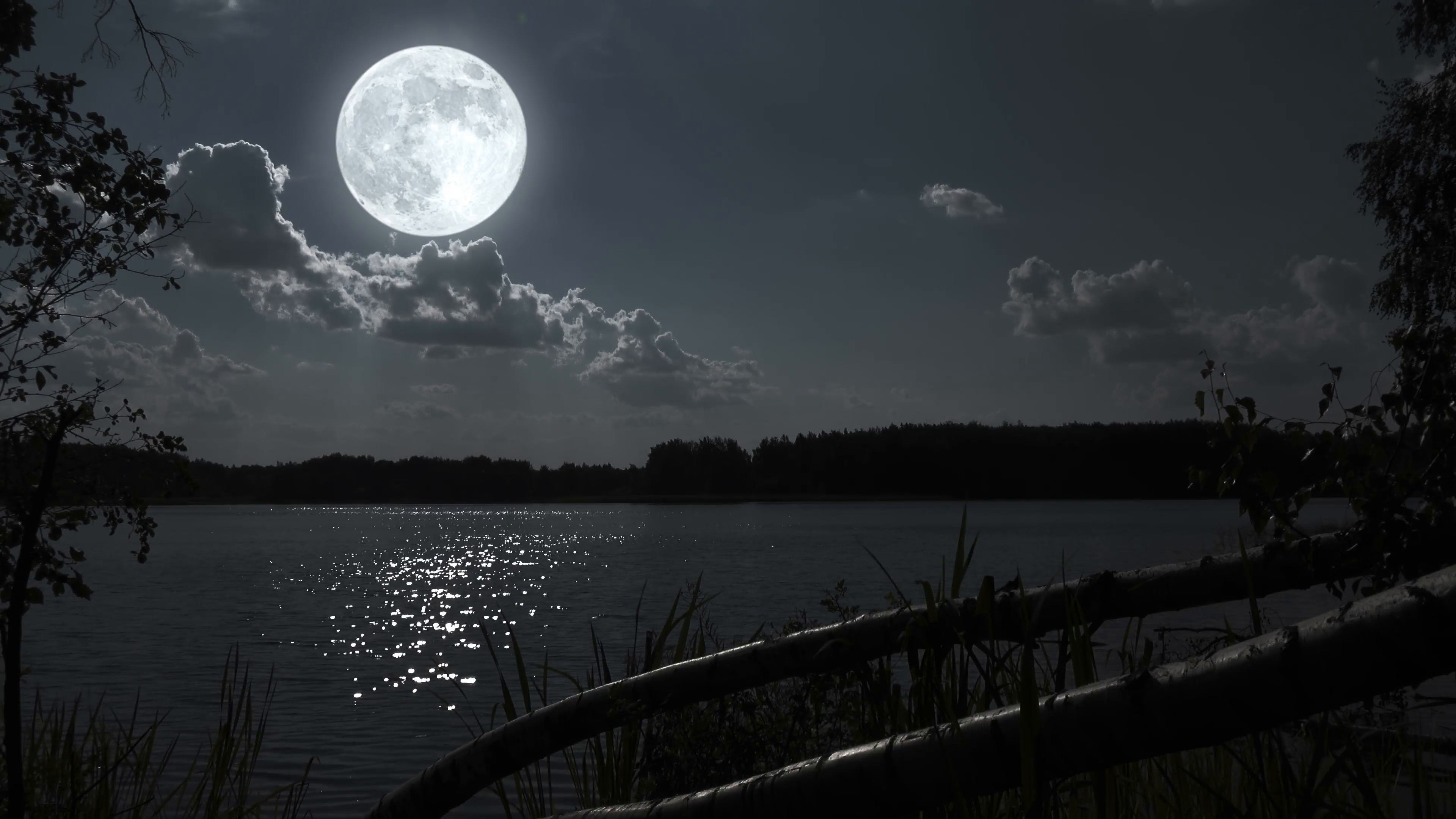 Лунная ночь. Ночной пейзаж. Ночь Луна. Природа Луны.