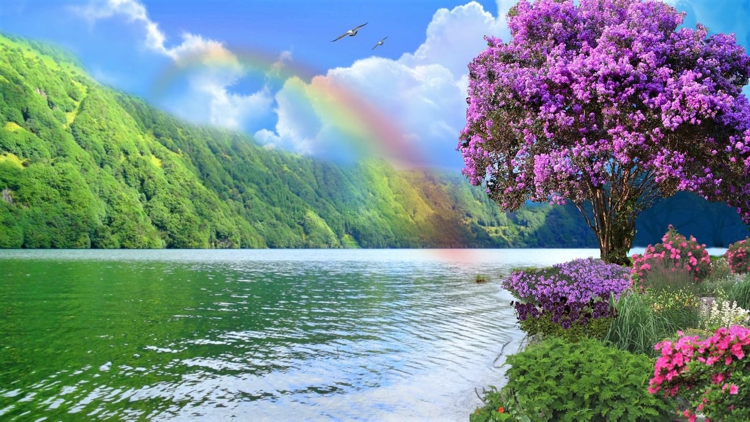 Красивый пейзаж с радугой