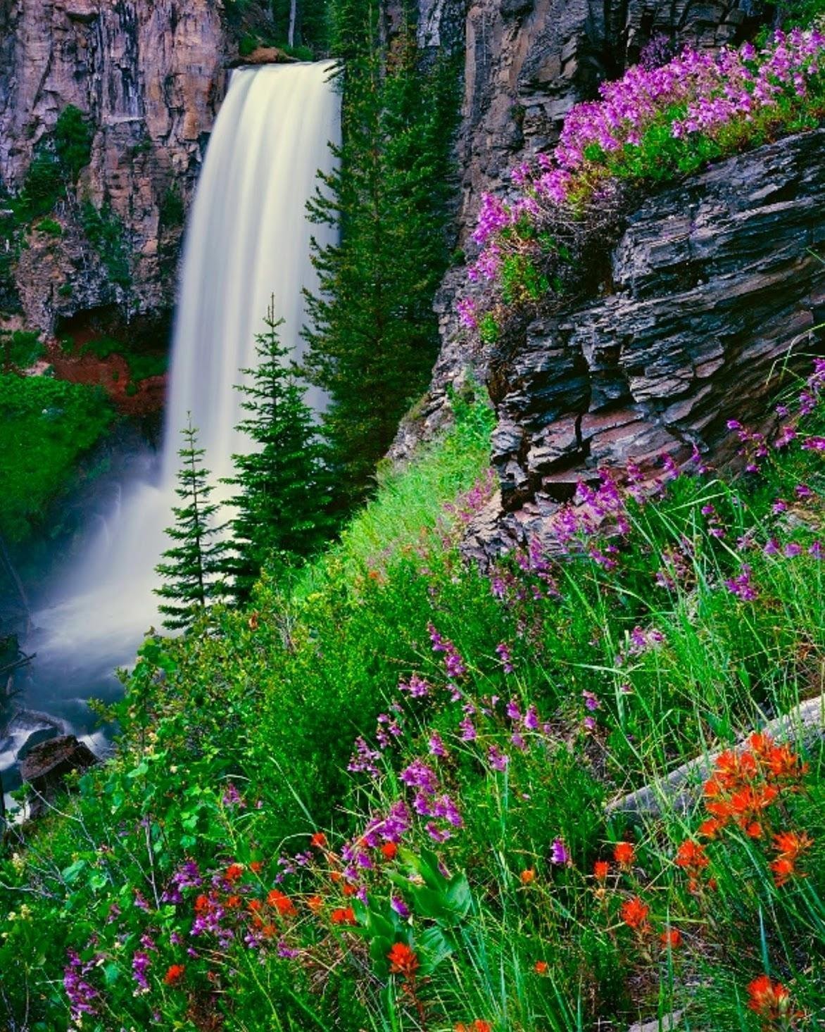 Самые красивые медленно. Товансон водопад. Плеседские водопады. Водопад в горах. Пейзаж водопад.