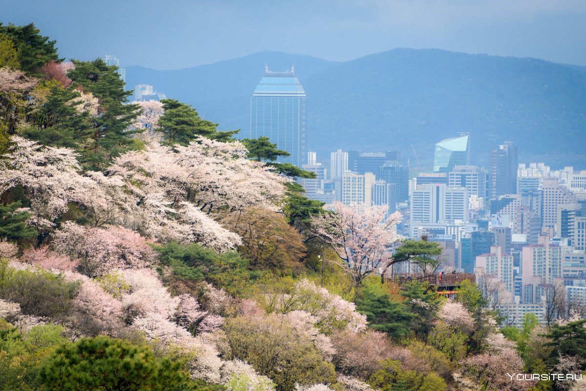Южная Корея Эстетика Сеул горы