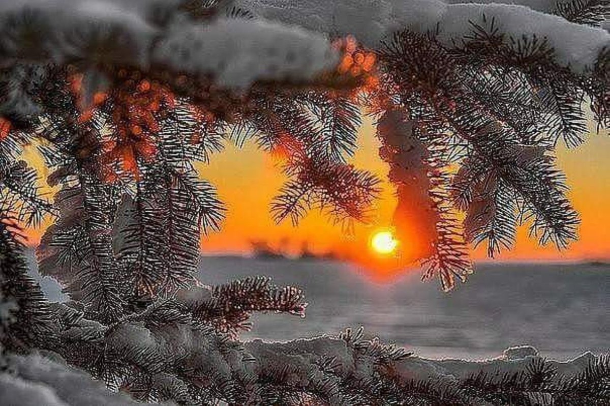 Добрый вечер зима природа