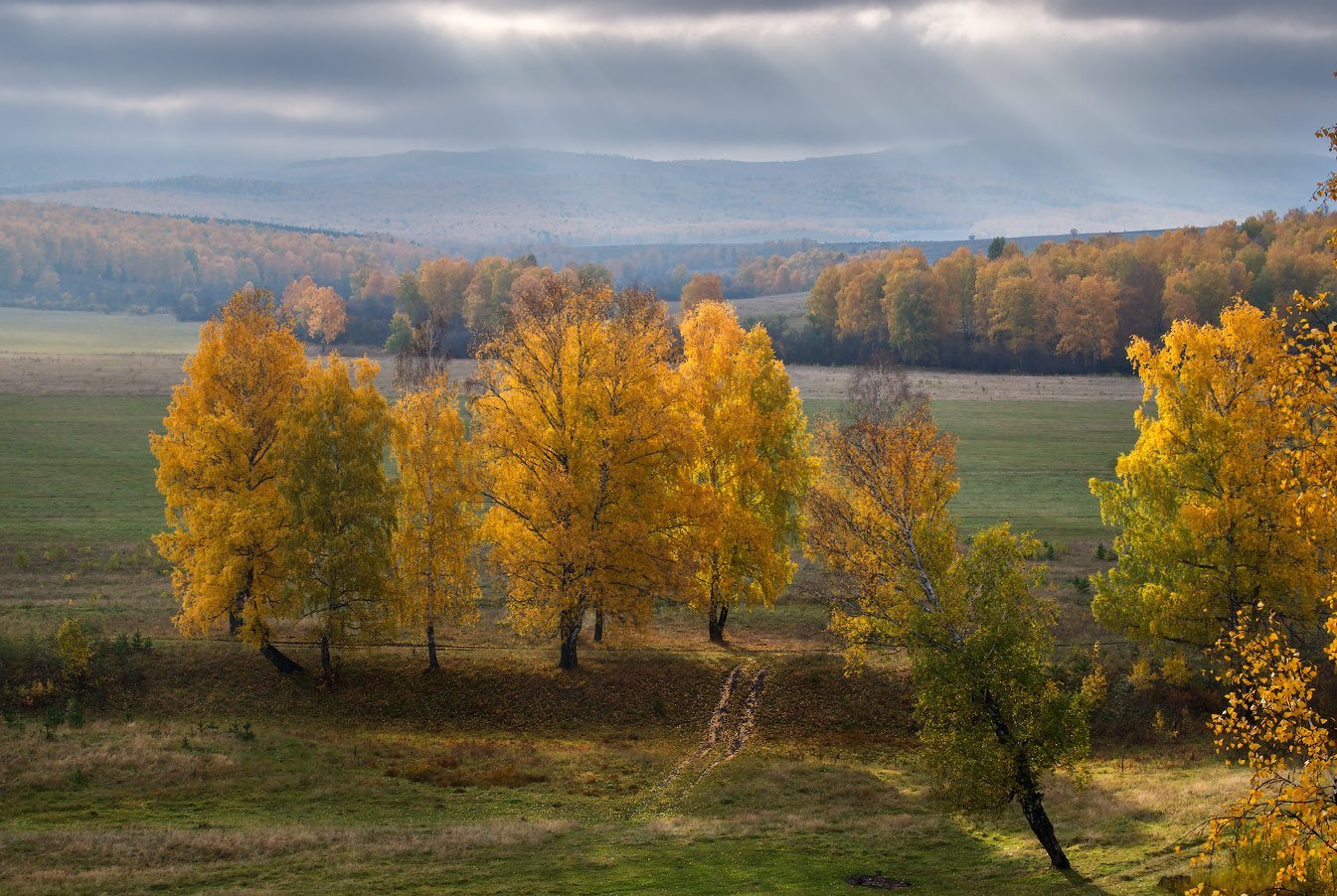 Белорецк Башкирия лес осень