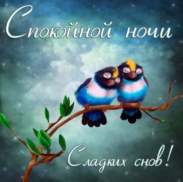 Доброго вечера и спокойной ночи